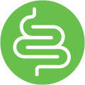 Gut Health