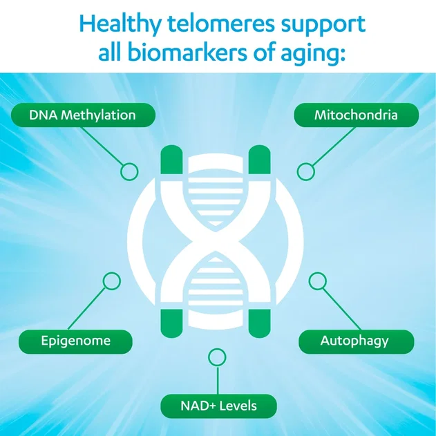 Healthy telomeres support all biomarkers of aging