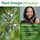 Plant Omegas (Nothing Fishy). Ahiflower oil is the plant kingdom's most potent omega-3, featuring heart and joint support, plus support for healthy hair and skin.