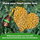 Show Your Heart Some Love with Wellspring! Wellspring nourishes your heart with plant-based essential fatty acids and antioxidants.
