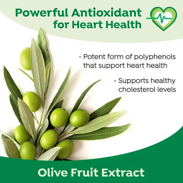 Powerful antioxidant for heart health with organic olive extract. It is a potent form of polyphenols that supports healthy cholesterol levels.