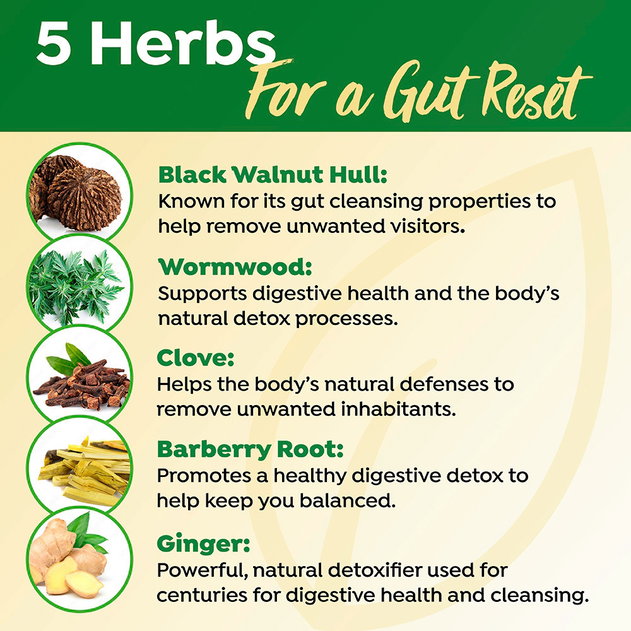 Para-Shield includes 5 herbs that support a gut reset: Black Walnut Hull, Wormwood and Sweet Wormwood, Clove, Barberry Root, and Ginger.
