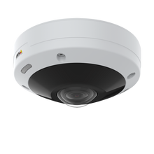 Panoramic Cameras