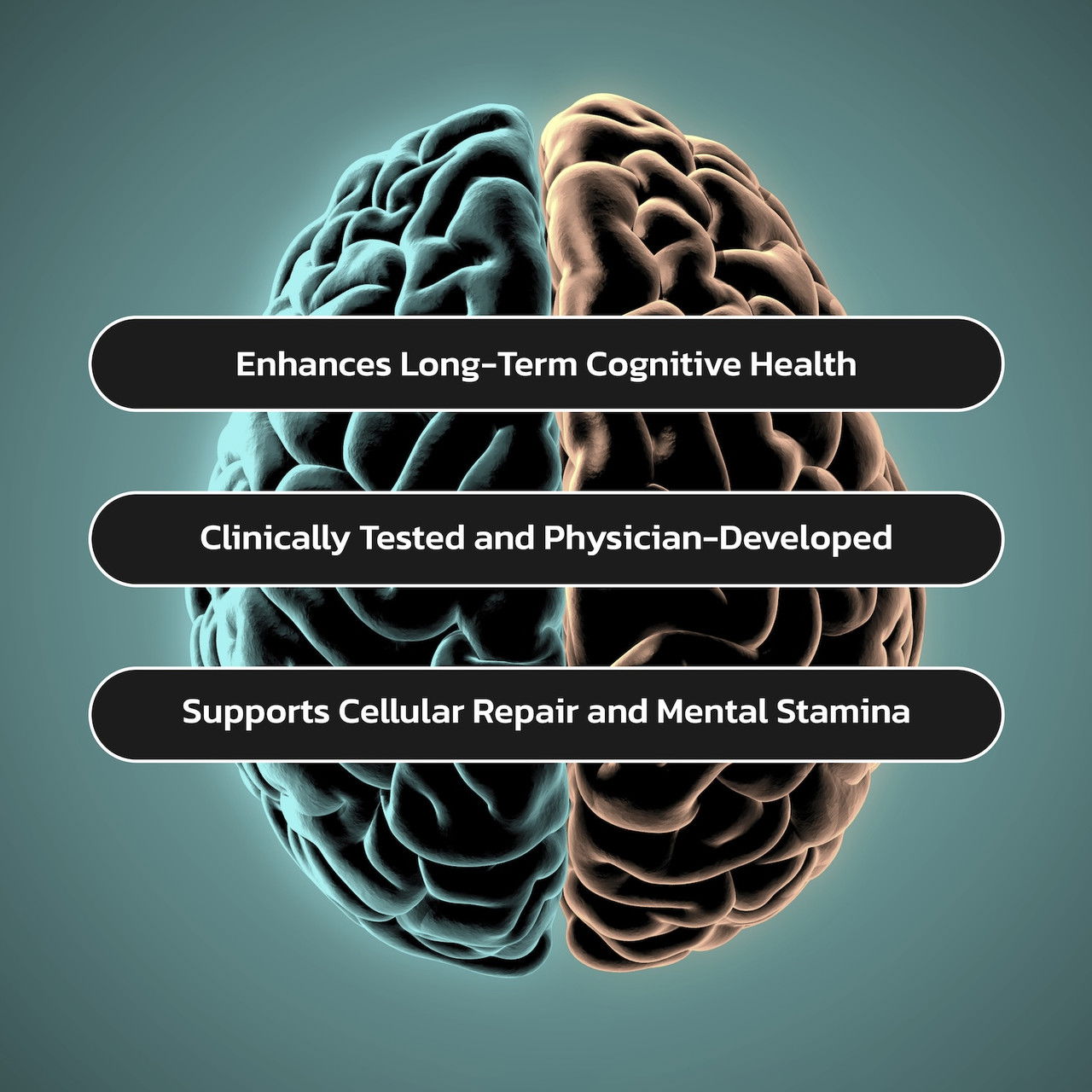 Brain Rescue Brain Rescue