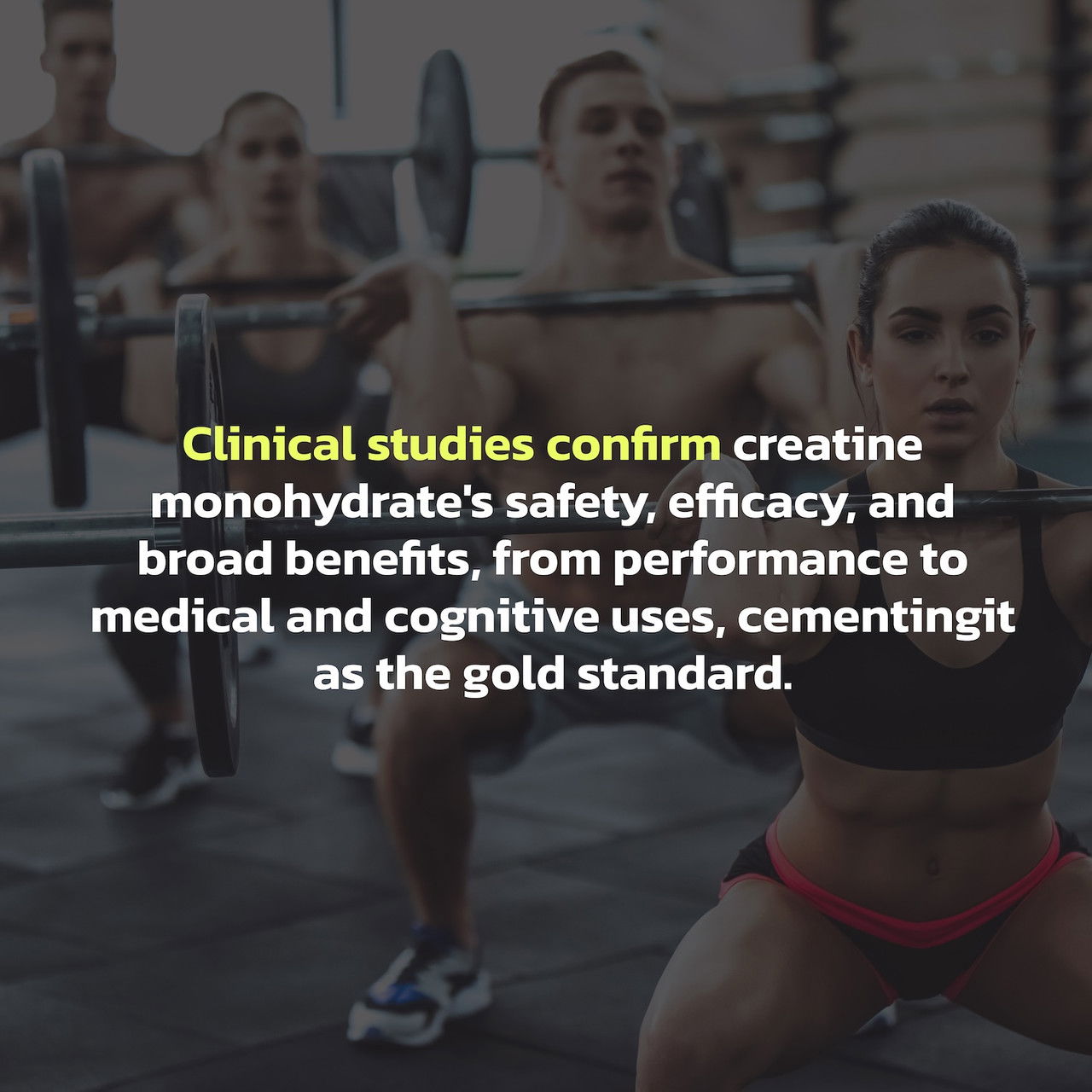 Creatine Monohydrate