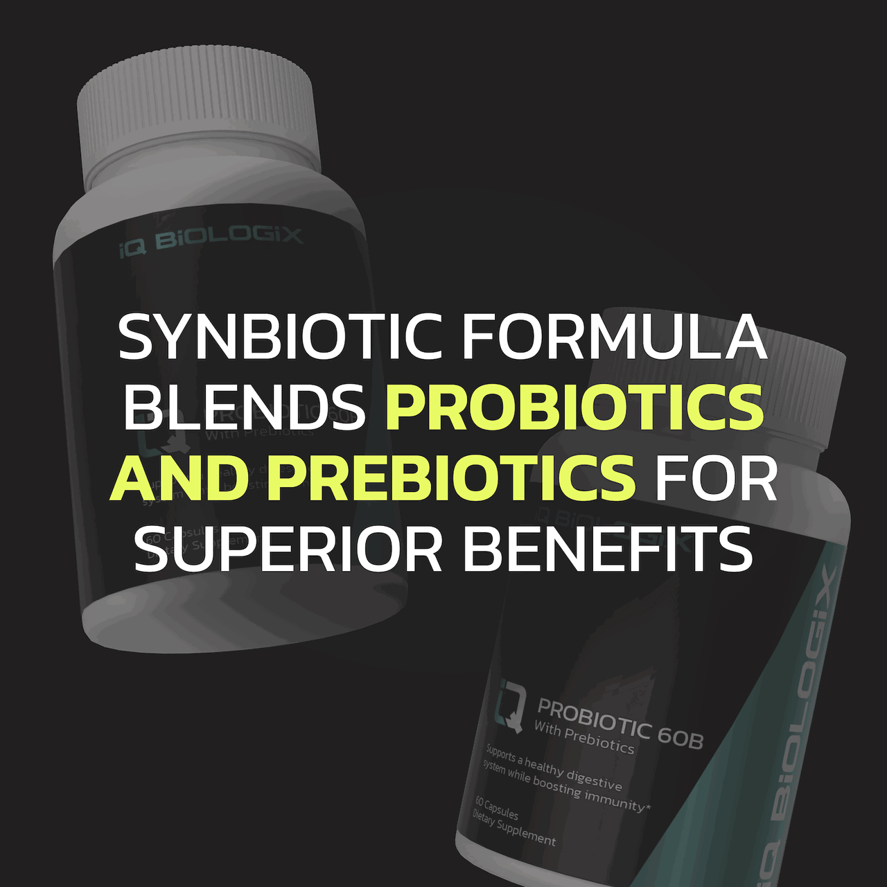 Probiotic 60B With Prebiotic Probiotic 60B With Prebiotic