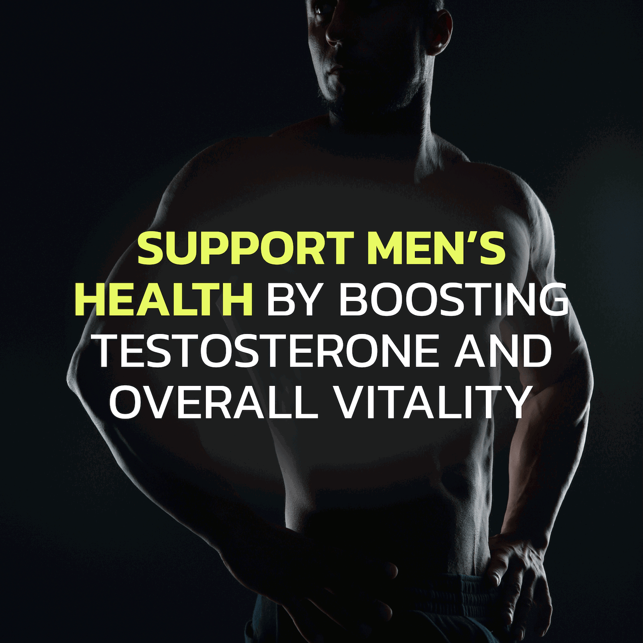 Ultra Testosterone Booster
