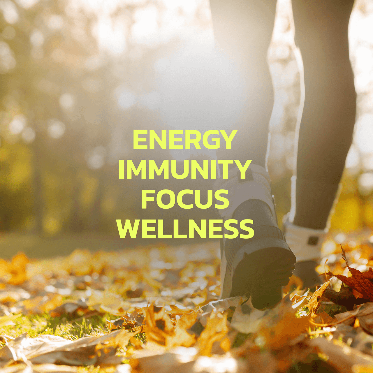 Complete Multivitamin Complete Multivitamin